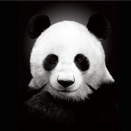 PANDAAA