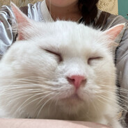 haitairousongxiaobei