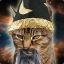 Furlin The Wizard Cat