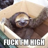 [Q]