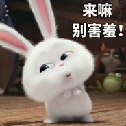 999世界顶级高磨MP5高斯