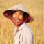 Riisinviljelija