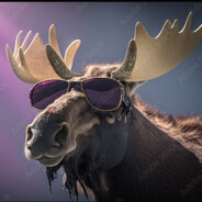 Mr. Moose avatar