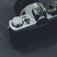 一只特立独行的猫