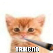 curseddddd KNIFEX