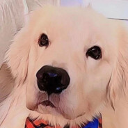 鹏鹏爱吃大怪兽