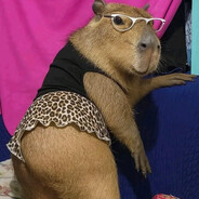 Саня Гантеля - steam id 76561199699610034