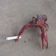 t3h r0b - steam id 76561197965575616