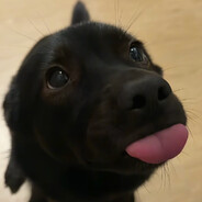 都说露脸是大忌，那我先露脸再露脸再露大忌吧