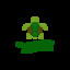 Lil Turtle