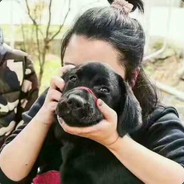 螺旋机の終末ヤン炭焼きのコ科比！