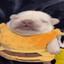 WASH_MY_BELLY