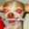 A wild Dingo