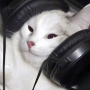 八十岁长寿霍紧旋转猛攻罗丽导