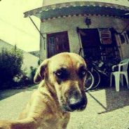 我的丁丁只有3厘米