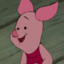 num piglet