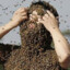 I&#039;M COVERED IN BEES