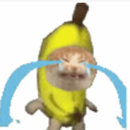 不要网暴香蕉猫