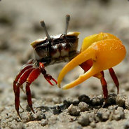 - \/G - ™Just a Crab, Dude™