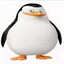 timnz01