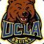 Mr. Bruin