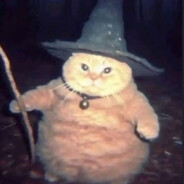 Fat Wizard Cat