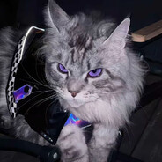 She‘s my Cinderella