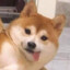 寄