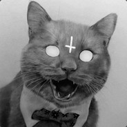 Fitzig - steam id 76561197961868505