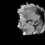 Hawk
