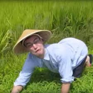 Rice Farmer