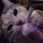 я устал (i&#039;m tired)