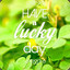 A_Lucky_Day