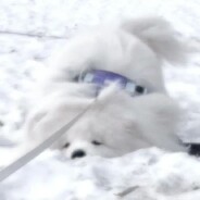 雯雯大王无敌666