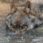 it's only aboUt... soUnd - steam id 76561198121538662