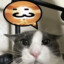 wiiuvvi
