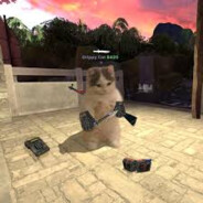 ᵈᵒⁿszybki fredy