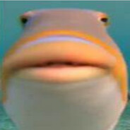 frontoad