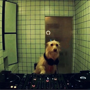 𝐖𝐢𝐥𝐥𝐢𝐚𝐦 𝐋𝐚𝐰𝐬𝐨𝐧'𝐬