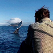 你会记得我的预瞄吗