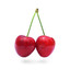 CherryS