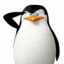 SKIPPER