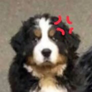 我是大便，先拉我