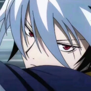 我的貂缠在哪里