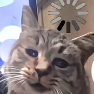 我会一直孤单吗