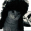 meowqq