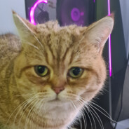 Gucci - steam id 76561197970237140