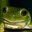 froge