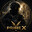 VanguardX
