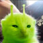 Kirxi ツ